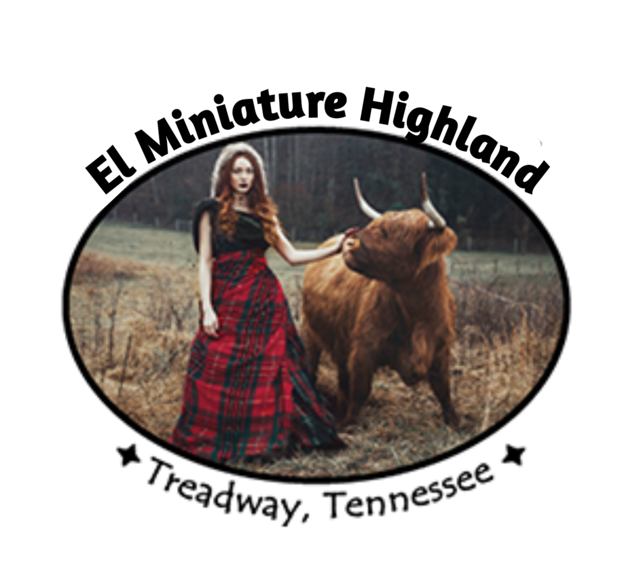 El Miniature Highland